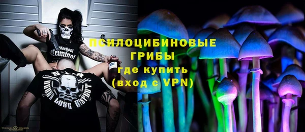 винт Аркадак