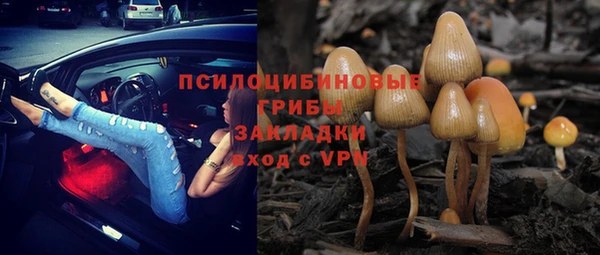 винт Аркадак