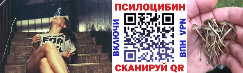 Галлюциногенные грибы GOLDEN TEACHER  Лобня 