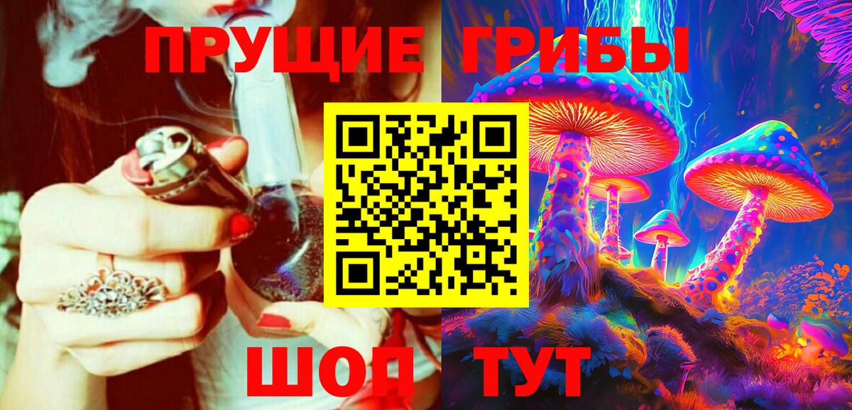 Псилоцибиновые грибы Psilocybine cubensis Лобня
