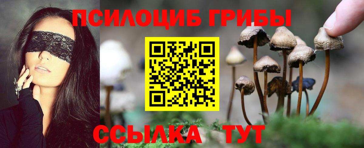 Псилоцибиновые грибы прущие грибы Лобня